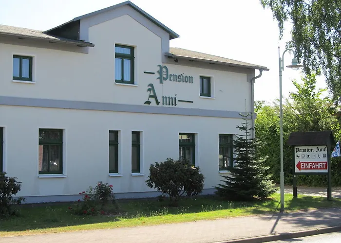 Anni Sanitz